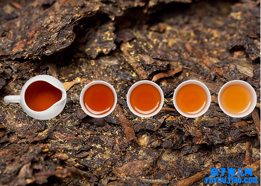  黑茶的功效有哪些 详细介绍黑茶的功效和作用及其原理