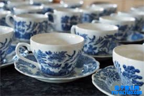  福建白茶的功效与作用及禁忌 福建白茶的好处和坏处