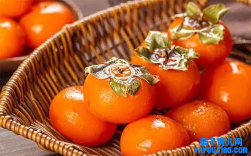 柿子的功效与作用及吃法