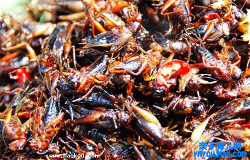 柬埔寨过境签油炸蟑螂成美味