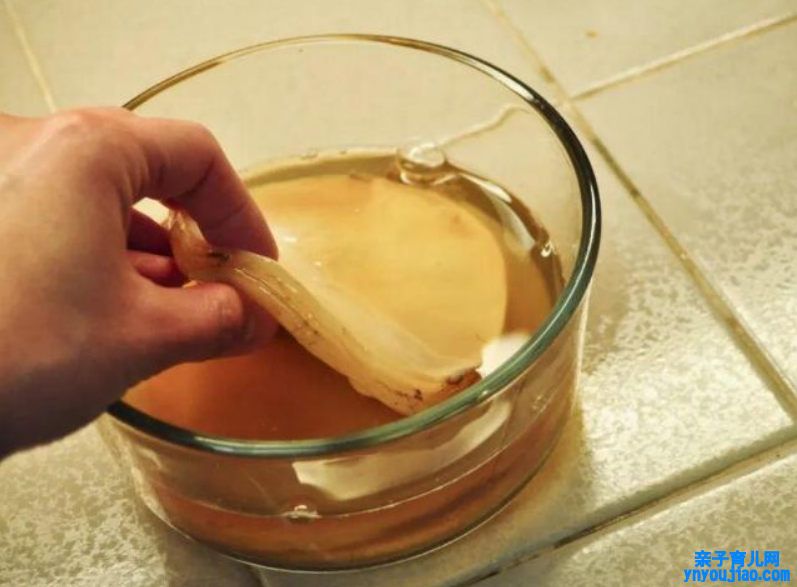  红茶菌的功效与作用及食用方法 饮用红茶菌的方法和功效介绍