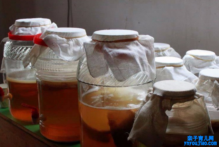  红茶菌的危害有哪些 喝红茶菌的对人体的四大危害一定要知道