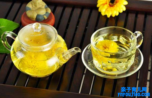  大朵菊花茶的功效与作用 喝大菊花茶能清热美颜抗衰老