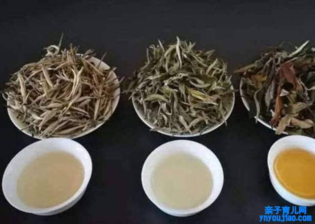  湖南白茶产地是哪里最好 哪里产的白茶最地道