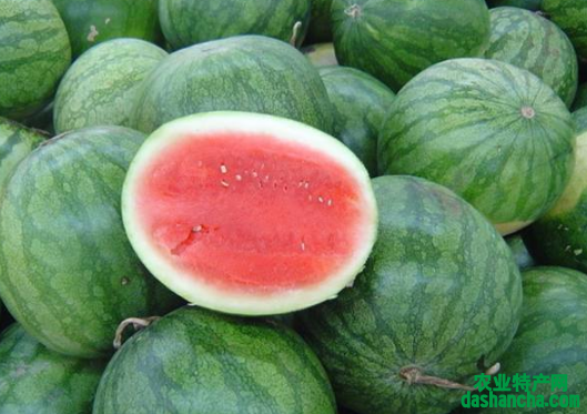 西瓜子种下后多久可以发芽出苗 西瓜怎么养殖