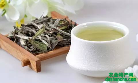  白茶的功效与作用及禁忌都有哪些 白茶的好处和饮用禁忌