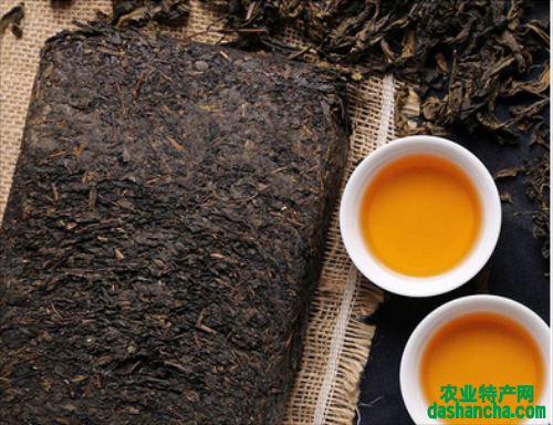  安化黑茶金茯茶的功效有哪些 喝黑茶金茯茶对身体的作用