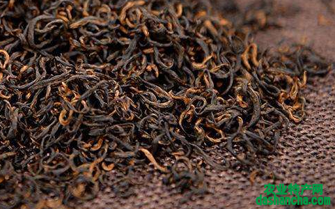  红茶有什么功效 红茶有养胃护胃与强壮骨骼的作用