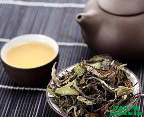  喝白茶的禁忌 哪些女性不应该喝白茶 喝浓茶容易便秘和心力衰竭