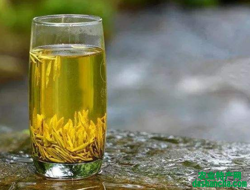  喝黄茶有什么作用 为什么黄茶能预防食道癌 还有减肥的功效