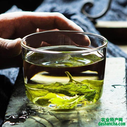  饮料绿茶的功效与作用有哪些 饮料绿茶的好处和坏处是什么