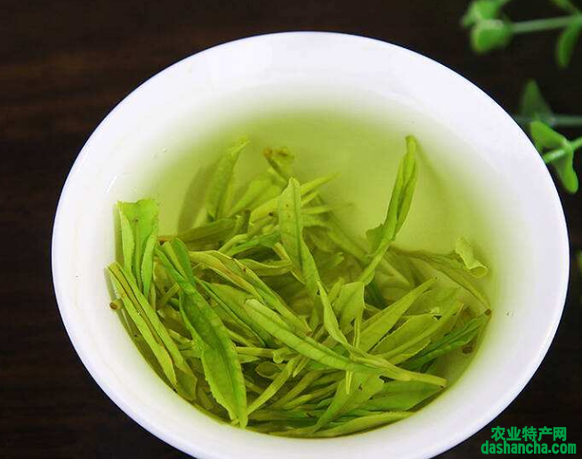  黄花云尖茶是绿茶吗 喝黄花云尖茶有什么好处 有延缓衰老和杀菌消炎的作用