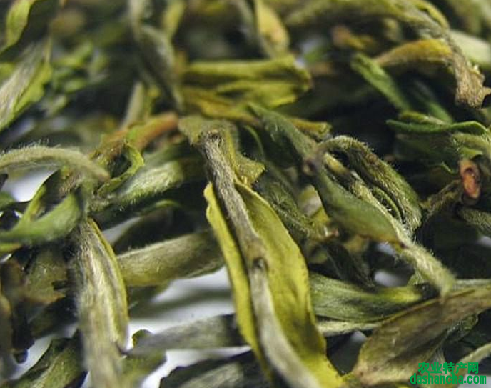  喝紫霞贡茶的好处 紫霞贡茶有除口臭和帮助消化的作用