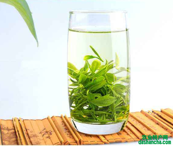  安吉白茶的功效 安吉白茶有美容润肤和减肥的作用吗