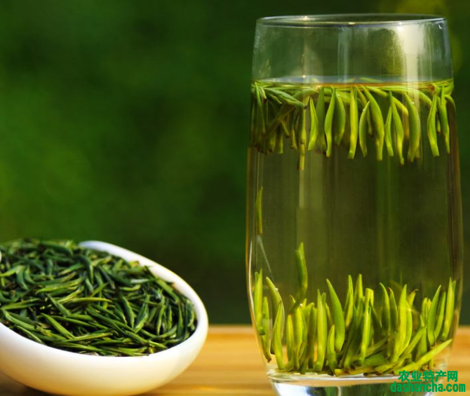  喝安吉白茶有什么功效 安吉白茶有抗衰老和延年益寿的作用