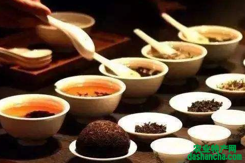  为什么普洱茶被称为七子饼茶 七子饼茶的由来 七子茶的历史