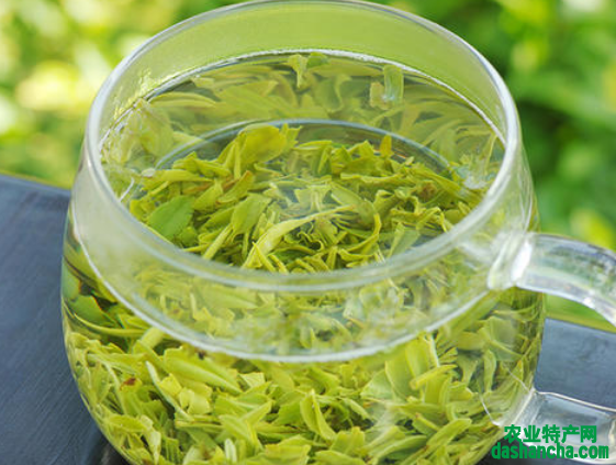  绿茶的功效 喝绿茶的好处 绿茶能抗衰老美容护肤吗