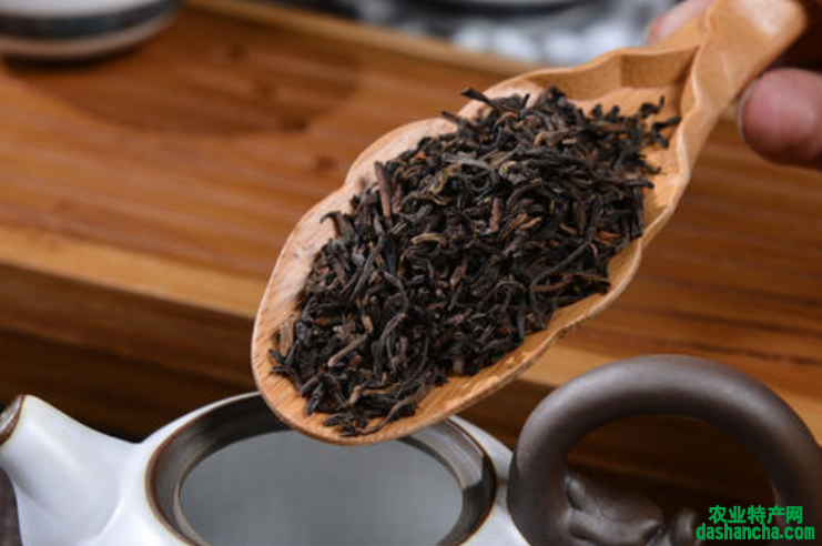  熟普洱茶的好处 直接喝普洱茶的功效有哪些