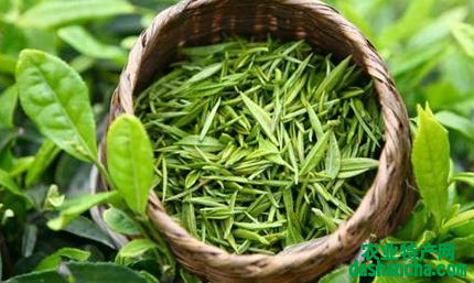  蒙顶贡茶的作用和功效 蒙顶贡茶有延缓衰老和美容护肤的好处