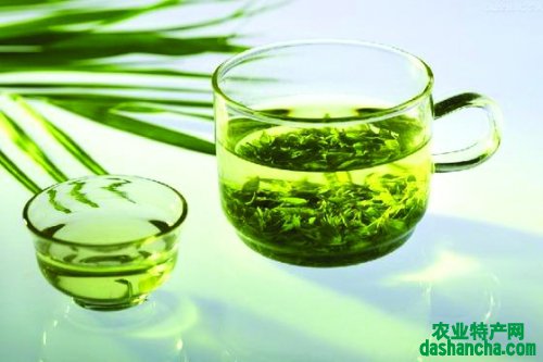  绿茶能减肥吗 绿茶有减肥的功效吗 怎么喝绿茶减肥呢