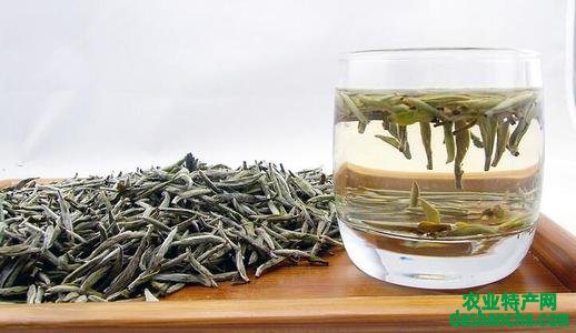  白茶的作用与功效 白茶有增强抵抗力等7大功效与作用