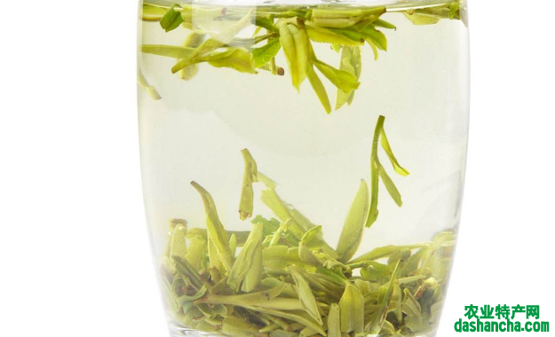 绿茶为什么能减肥 喝绿茶的功效与作用 晚饭后可以喝绿茶吗