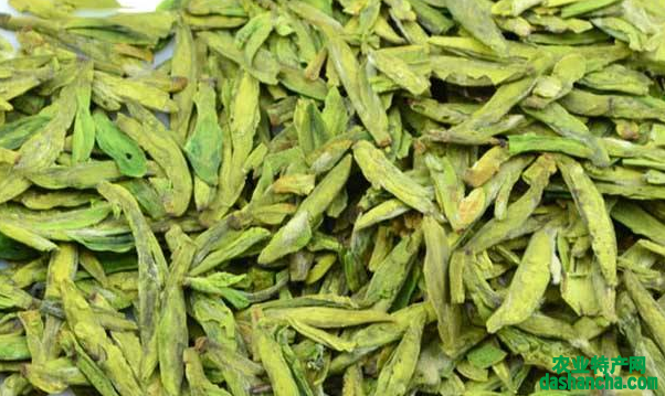  饮用龙井茶的作用与功效 龙井茶能减肥吗 西湖龙井是什么茶