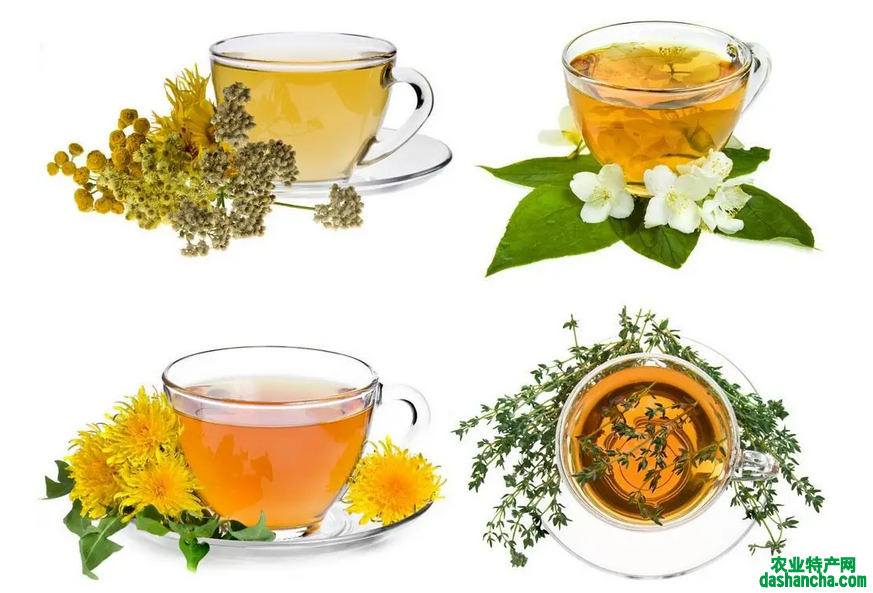  花茶属于什么类目 属于六大茶类吗 有哪些常见的花茶