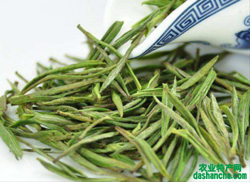  安吉白茶是什么茶 安吉白茶到底属于白茶还是绿茶