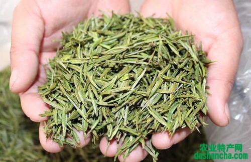  安溪白茶的饮用注意禁忌 安溪白茶多少钱一斤呢
