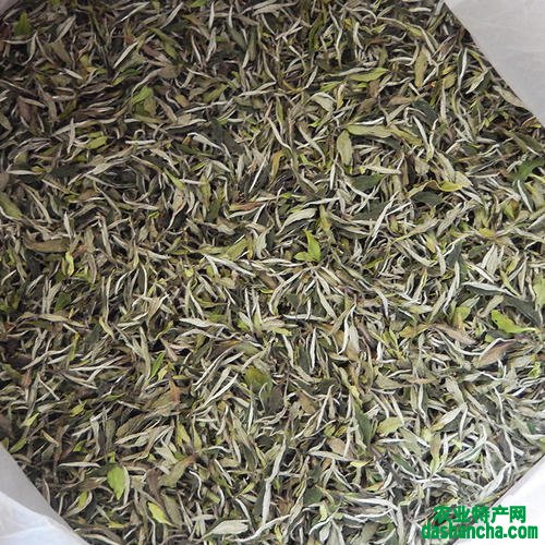  白牡丹花茶的功效 白牡丹茶多少钱一斤