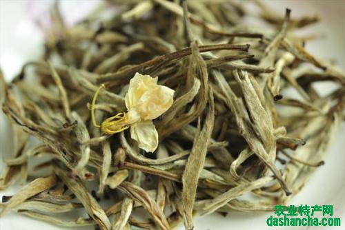  正宗的茉莉茶多少钱一斤 特色茉莉花茶的品质特征