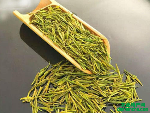  黄金叶茶叶多少钱一斤 2020一斤黄金叶茶叶的最新价格行情