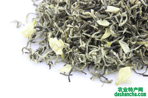  茉莉花茶多少钱一斤 茉莉花茶的品种