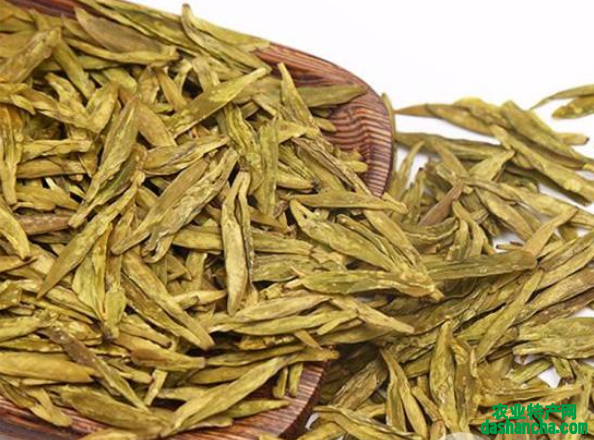  广元黄茶多少钱一斤 被誉为黄金茶的四川广元纯黄茶的价格