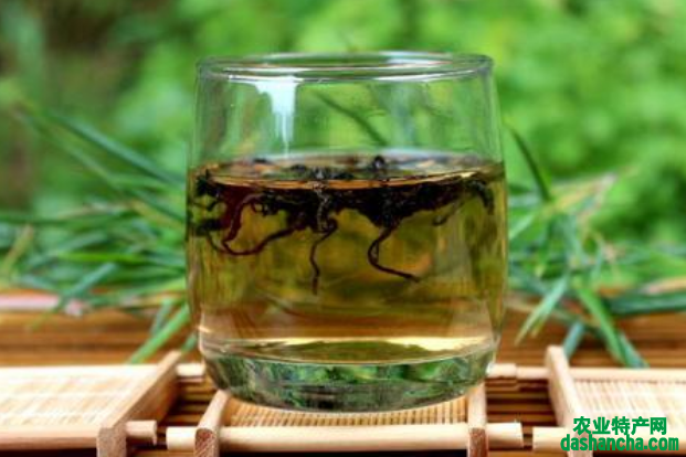  杜仲茶多少钱一斤 2020杜仲茶的营养功效和价格介绍