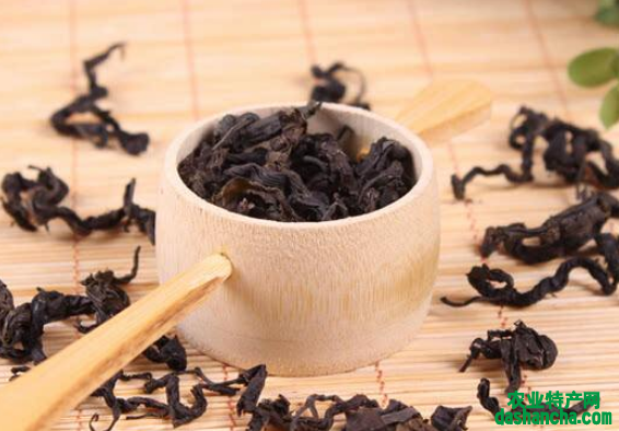  杜仲茶多少钱一斤 2020杜仲茶的营养功效和价格介绍