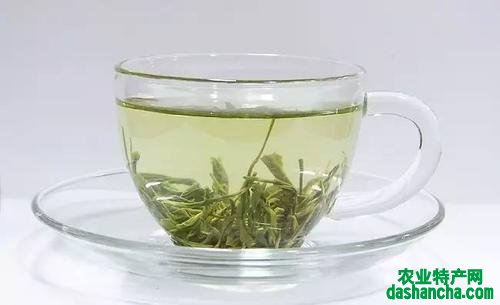 绿茶加茉莉有哪些功效 绿茶茉莉可以一起泡吗