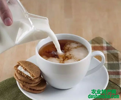  红茶煮牛奶有哪些功效 红茶和牛奶的功效及煮法介绍