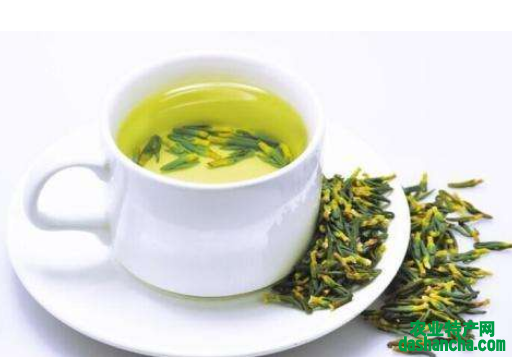  莲子心茶多少钱一斤 2020莲子心茶的最新市场价格详情