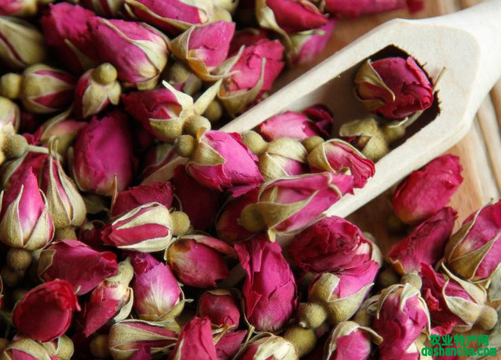  红玫瑰花茶有哪些功效与作用 喝红玫瑰茶的好处介绍