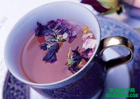  紫罗兰花茶的功效与作用是什么 喝紫罗兰花茶可美容养颜