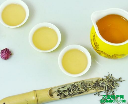  如何制作岳阳黄茶 冲泡岳阳黄茶的方法 多少水温合适