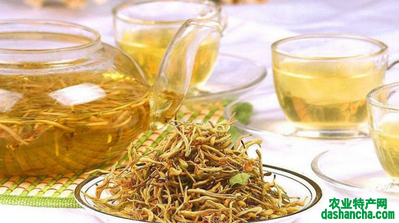  鱼腥草泡茶的功效与作用是什么 鱼腥草茶最显著的3大功效