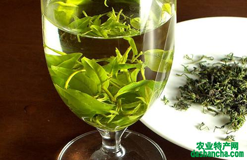  余庆小叶苦丁茶的功效有哪些 小叶苦丁茶提高免疫力的功效