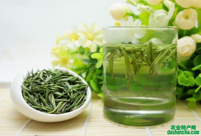  银针茶叶的功效和作用是什么 常喝银针绿茶对身体的八大功效