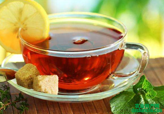  养生的茶有哪些 喝哪种茶对健康有益 养生茶的功效作用