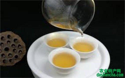  福鼎白茶属于什么茶种 福鼎白茶到底是哪种茶类