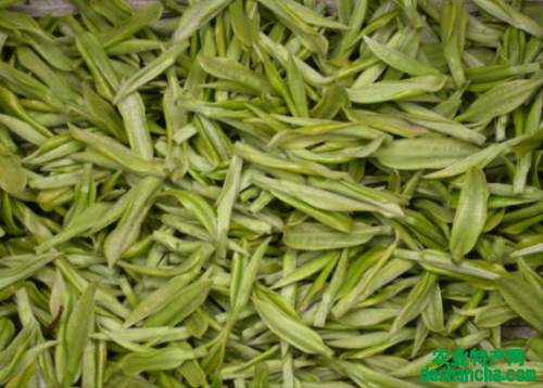  安吉白茶是什么地方生产的 详细介绍安吉白茶的产地及起源