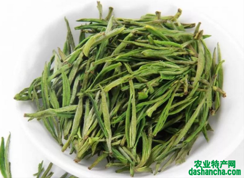  安吉白茶多少钱一斤2020 最贵的安吉白茶最新市场价格详情